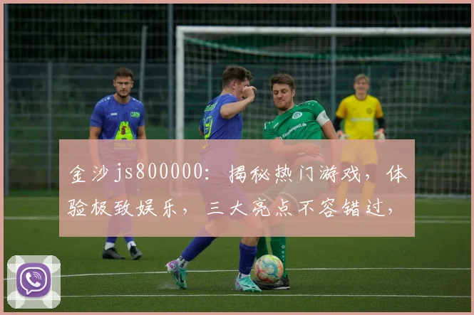 金沙js800000：揭秘热门游戏，体验极致娱乐，三大亮点不容错过，畅享无限乐趣