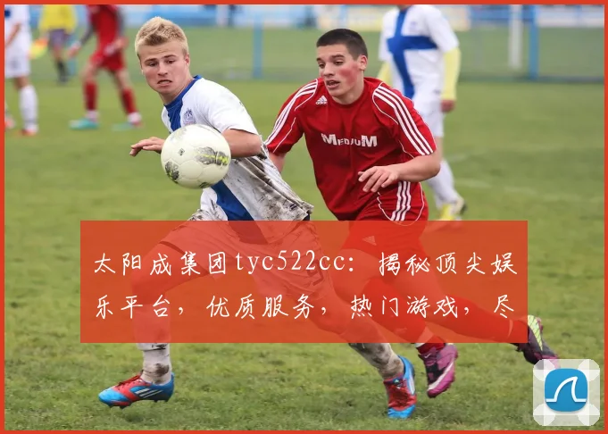 太阳成集团tyc522cc：揭秘顶尖娱乐平台，优质服务，热门游戏，尽在掌握