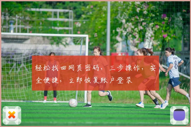 轻松找回网页密码，三步操作，安全便捷，立即恢复账户登录
