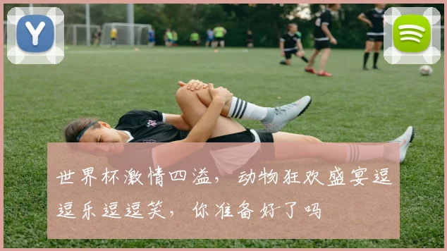 世界杯激情四溢，动物狂欢盛宴逗逗乐逗逗笑，你准备好了吗