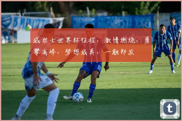 威尔士世界杯征程，激情燃烧，勇攀高峰，梦想成真，一触即发
